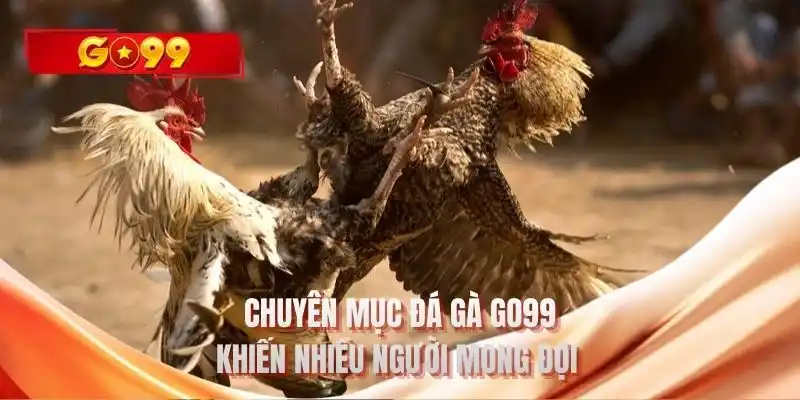 Chuyên mục đá gà GO99 khiến nhiều người mong đợi 